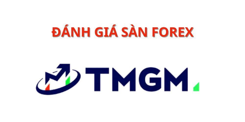 Sàn Tmgm Là Gì? 