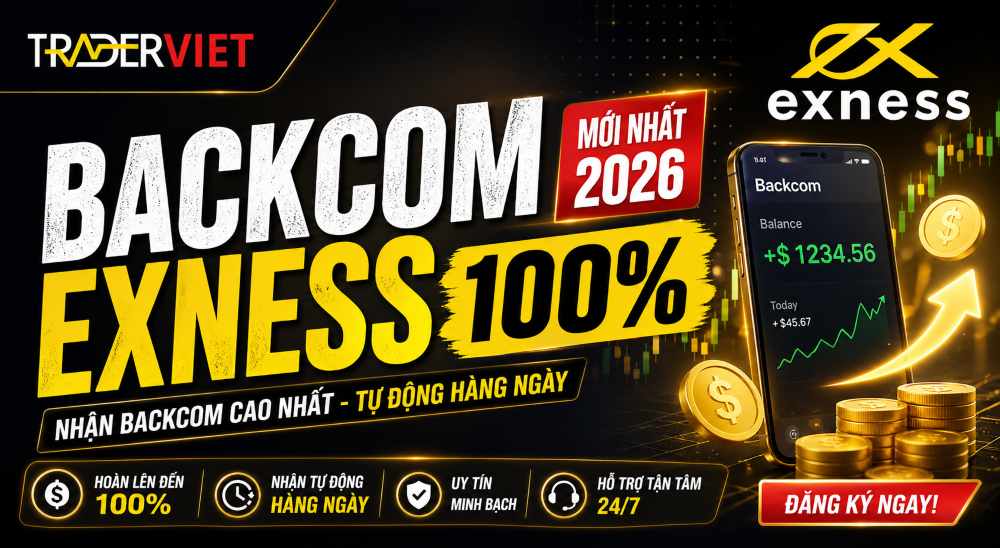 Backcom Exness 100 Traderviet