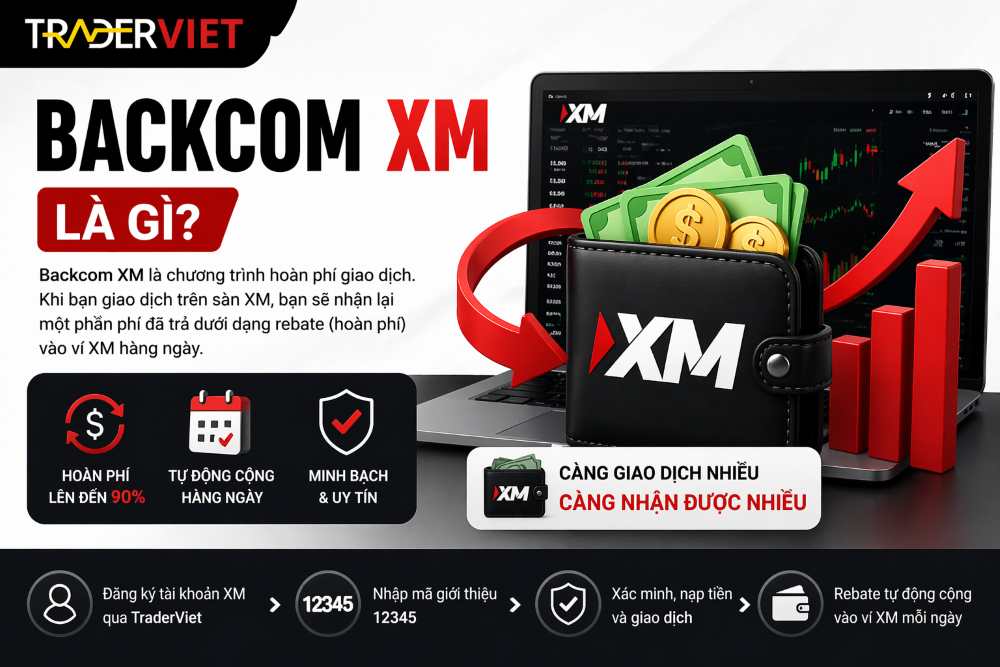 Backcom Xm Là Gì?