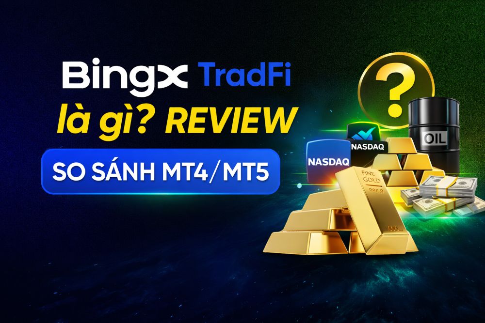 Review 28 Bingx Tradfi