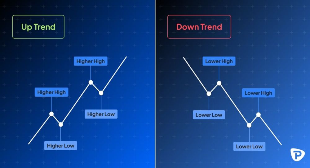 Điểm Mạnh Của Cuốn Sách