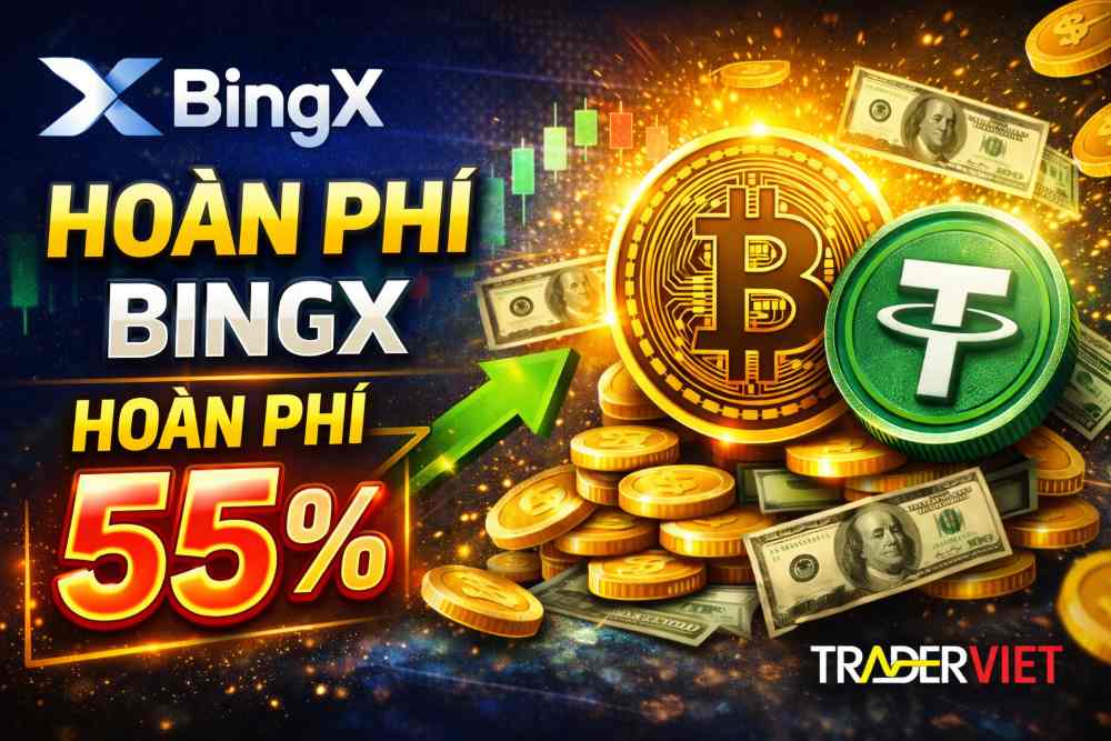 Hoan Phi Bingx Traderviet