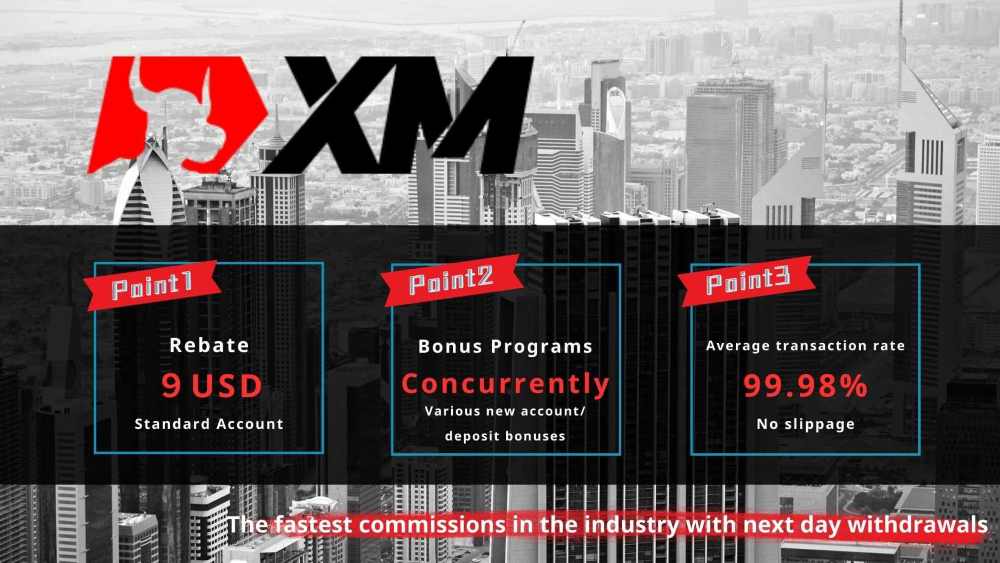 Xm Ngừng Usdt Ảnh Hưởng Gì Đến Trader?