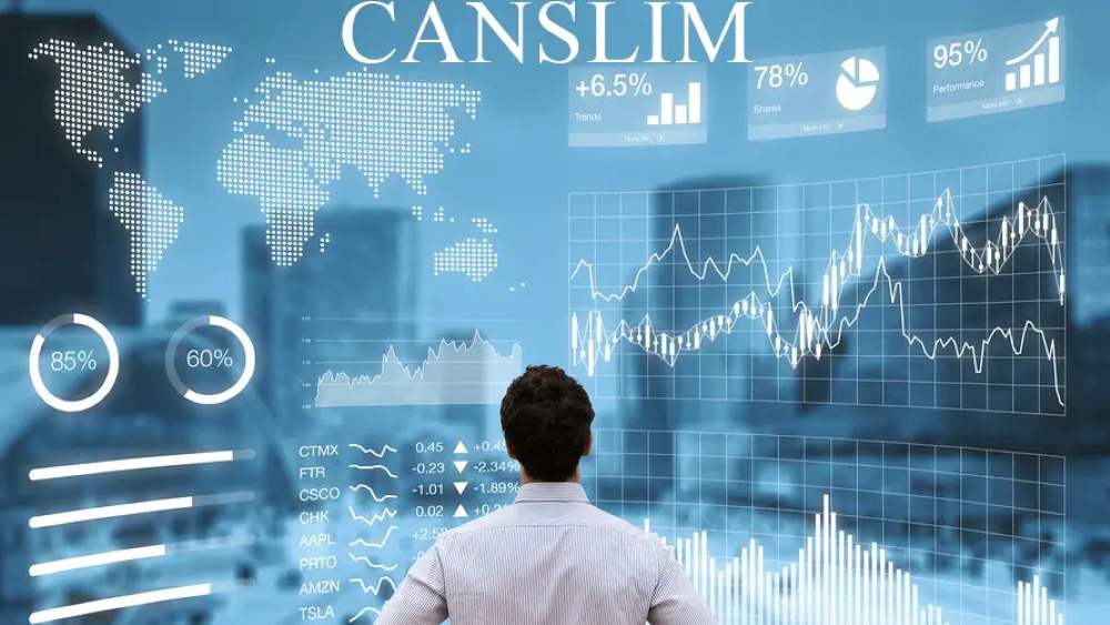 Hướng Dẫn Thực Hành Canslim Cho Người Mới Bắt Đầu 6 Điểm Cần Lưu Ý Khi Đọc