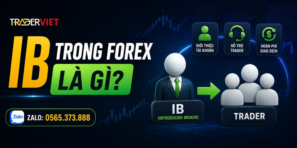 Cơ Chế Ib Sàn Ic Markets Là Gì? Vì Sao Nhiều Trader Mở Tài Khoản Qua Ib? 2 Ib Trong Forex Là Gì?