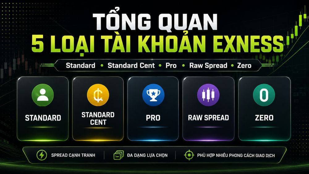 Exness Cung Cấp 5 Loại Tài Khoản Giao Dịch