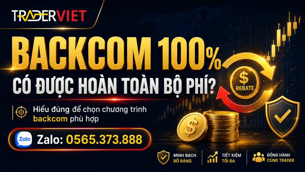 Review 29 Backcom 100 La Gi