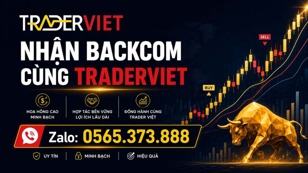 Review 31 Backcom La Gi Traderviet