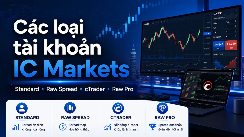 Các Loại Tài Khoản Ic Markets: So Sánh Chi Tiết Và Cách Lựa Chọn