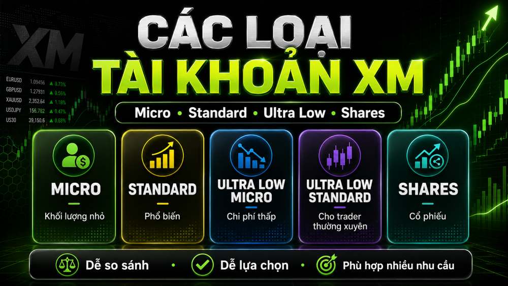 Các Loại Tài Khoản Xm: So Sánh Chi Tiết Và Cách Lựa Chọn 3 Các Loại Tài Khoản Xm: So Sánh Chi Tiết Và Cách Lựa Chọn