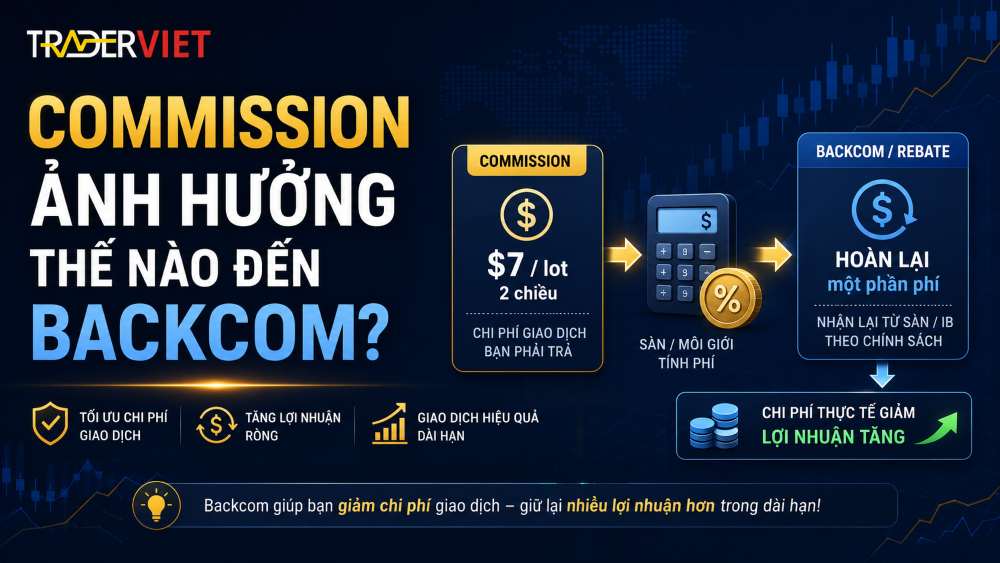 Đăng Ký Và Kiểm Tra Backcom Cùng Traderviet
