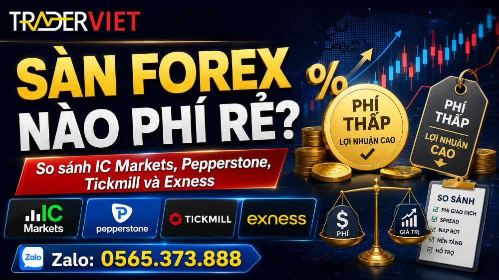 Review 29 San Forex Nao Phi Re