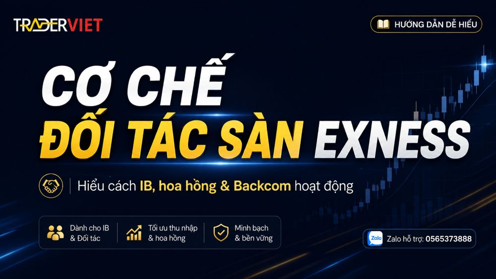 Co Che Doi Tac San