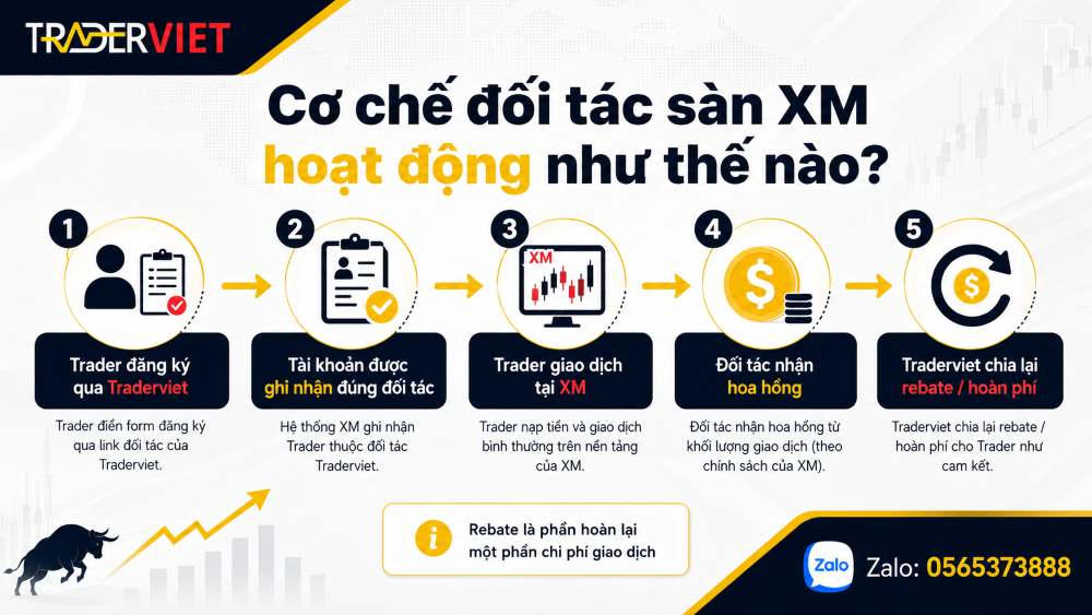 Hoàn Phí Xm