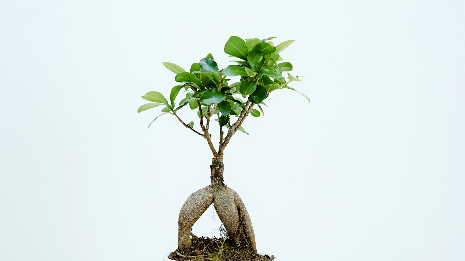 Hướng Dẫn Rút Tiền Exness Về Việt Nam Chi Tiết Từng Bước 4 Điện Thoại Hiển Thị Ứng Dụng Ngân Hàng Và Mã Qr Thanh Toán, Minh Họa Các Phương Thức Rút Tiền Exness Tại Việt Nam