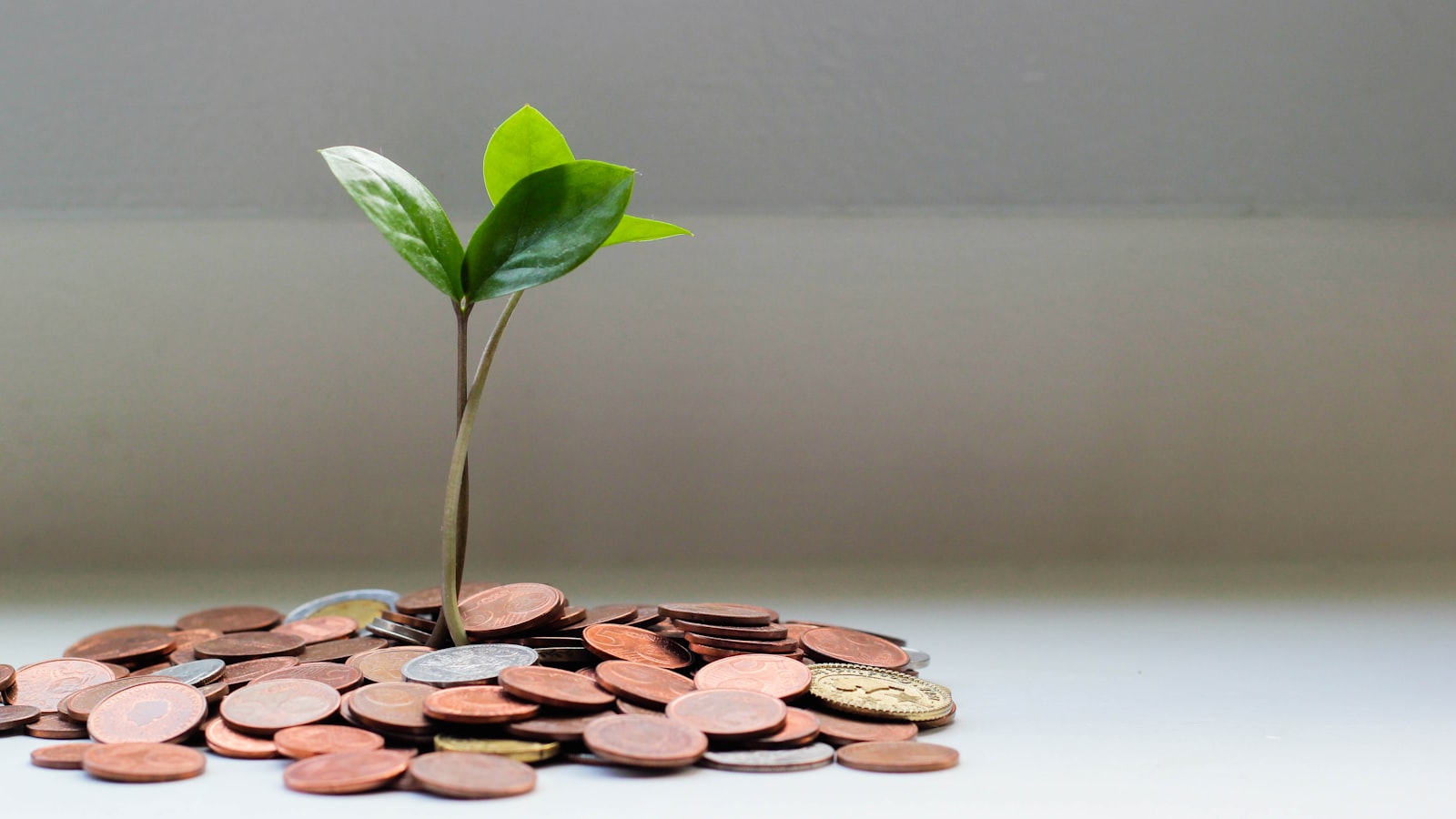 Quản Lý Rủi Ro Forex: Cách Tính Lot Size &Amp; Margin Chuẩn 7 Sổ Ghi Chép Giao Dịch Với Các Con Số Phần Trăm Rủi Ro, Minh Họa Việc Áp Dụng Quy Tắc Quản Lý Vốn 1-2% Trong Forex